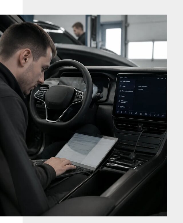 Русификация автомобилей BYD под ключ для всех моделей в Биробиджане